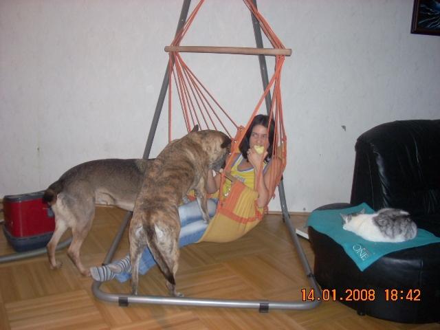 av9ev4jwp9tm95pzc.jpg