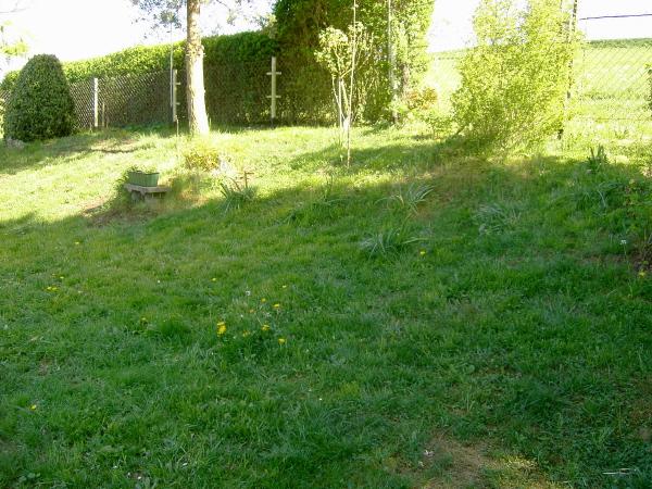 Was macht ihr gegen Moos im Rasen?? - Page 2 - Mein schöner Garten Forum