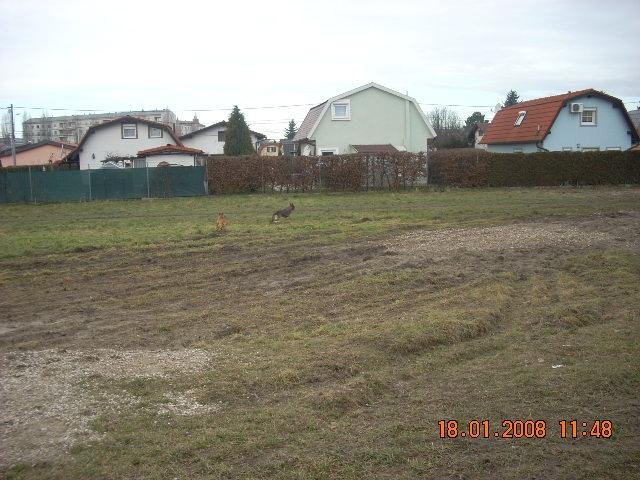 avcpoqqormowa053c.jpg
