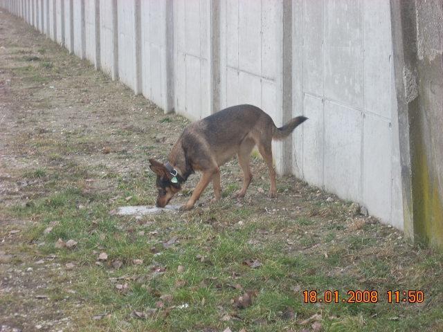 avcprwvdipxl3fs94.jpg