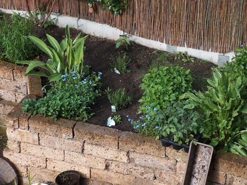 Fotos vom alten Garten - Mein schöner Garten Forum