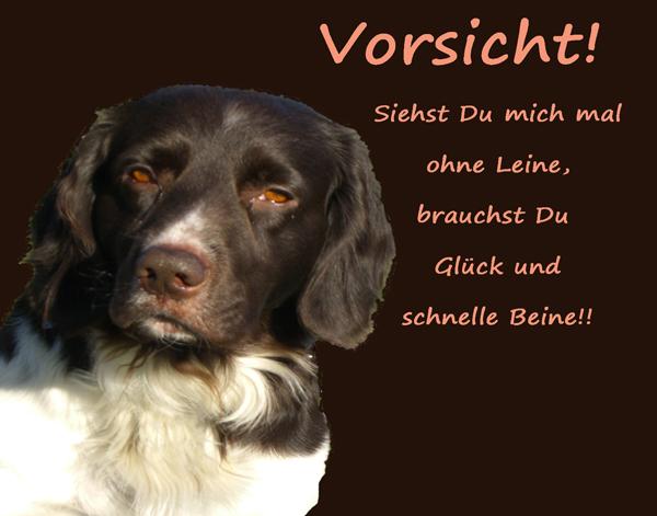 Schild &quot;Warnung vor dem Hund&quot; Seite 3 Plauderecke Der Hund