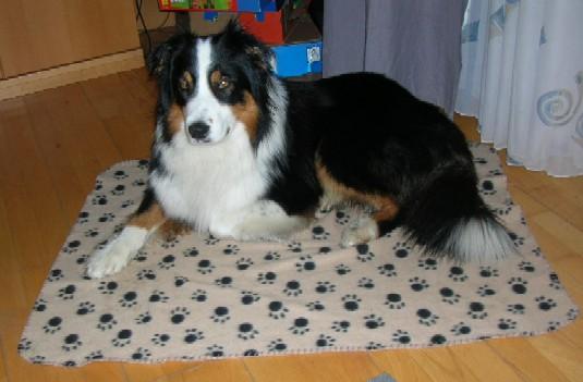awx48a38fytwoid2e.jpg