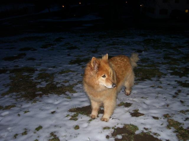 awxig5nnogvs5zsgy.jpg