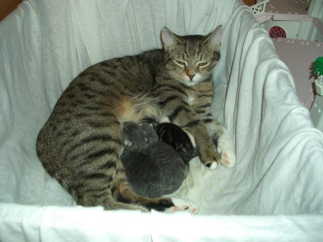 ax9ay0rwo94aulh1u.jpg
