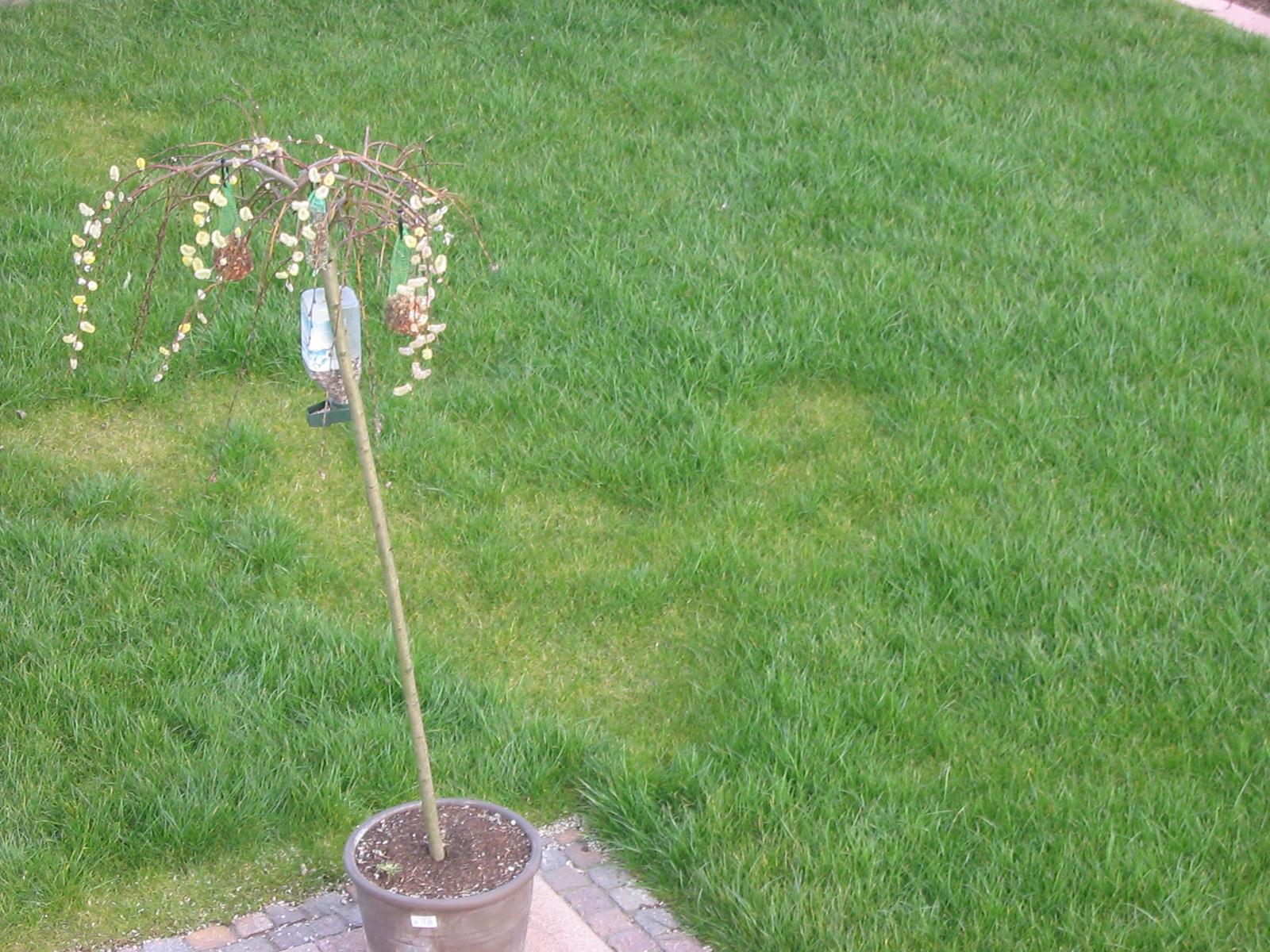 Rasen düngen - Mein schöner Garten Forum