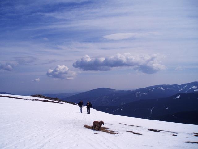 axkqk9k9rohl7nhn9.jpg