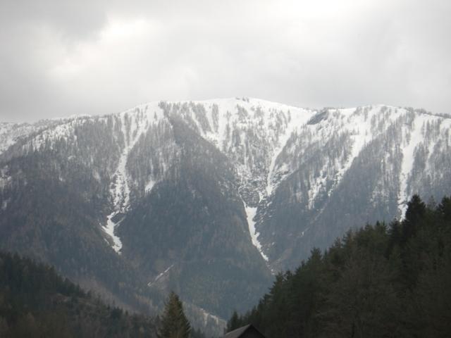 axme58bwfzgfkwdqm.jpg
