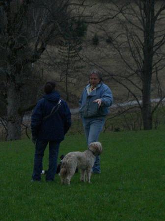 axmvy6ishn4lohq14.jpg