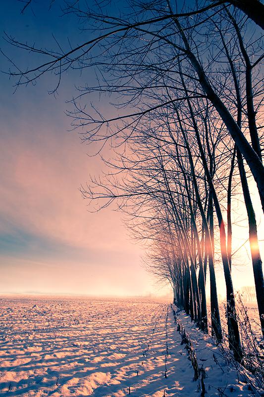 SILENCE