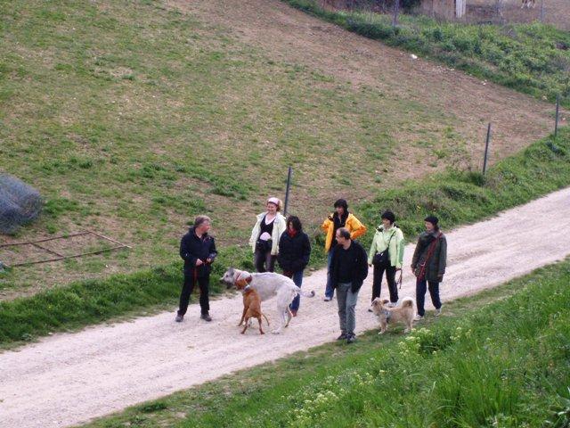 axr37zn5weg40olt3.jpg