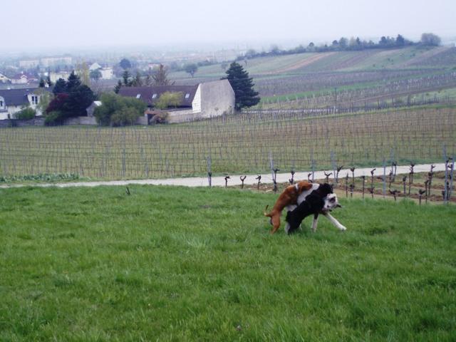 axr3fbn9h14toiu07.jpg