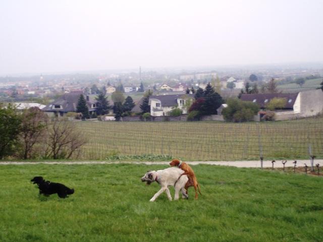 axr3fx9o24fhtlsh3.jpg