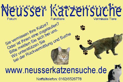 Neusser Katzensuche
