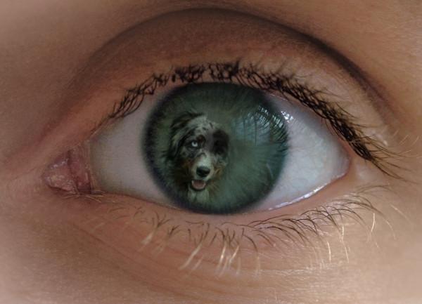 azrqve5z6o67kxdv0.jpg