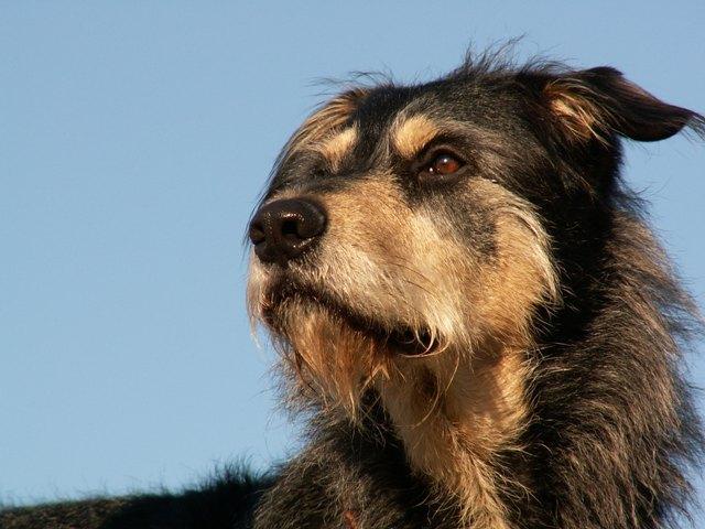 b0206jtnxf1nzt7mx.jpg