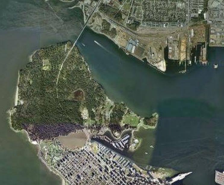 UserImage