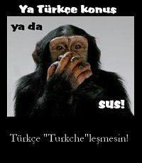 Resmin büyük halini görmek için lütfen üzerine tıklayınız. Resmin büyük halini görmek için lütfen üzerine tıklayınız.