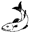 UserImage