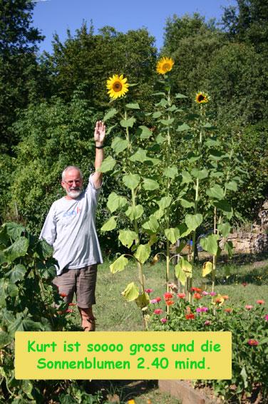 Die Gemüsediät den Bauch zu entfernen