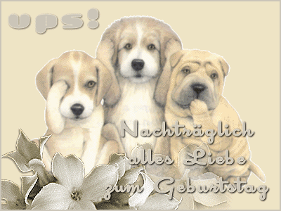 b1ih6kpfjj234p9pp.gif