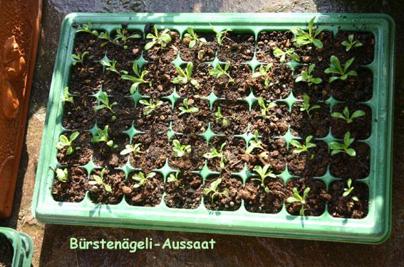 gute fußlig gute fußlig