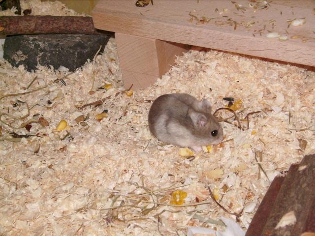 Bild