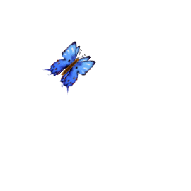[Bild: b2asrnn830n1ixhas.gif]