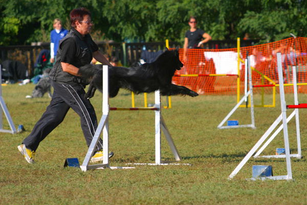b2ixs4p4balr052c3.jpg