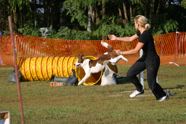 b2ixvp5wn7yd3vs43.jpg