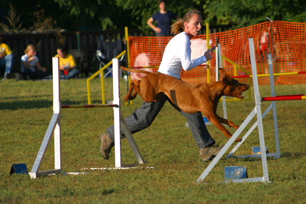 b2ixy46181jsauz2r.jpg