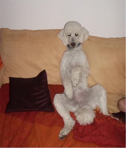 b3em5kodkd5n6u84r.jpg