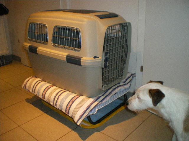 b46254rsewklst4wq.jpg