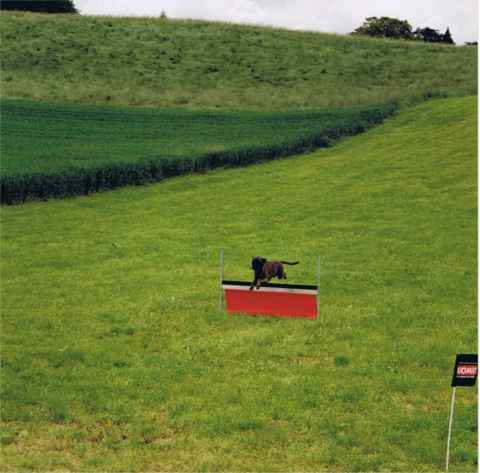 b467r47pfu1o2hdld.jpg