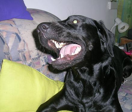 b50p95pdhez0d6gue.jpg