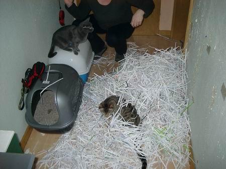 Bild