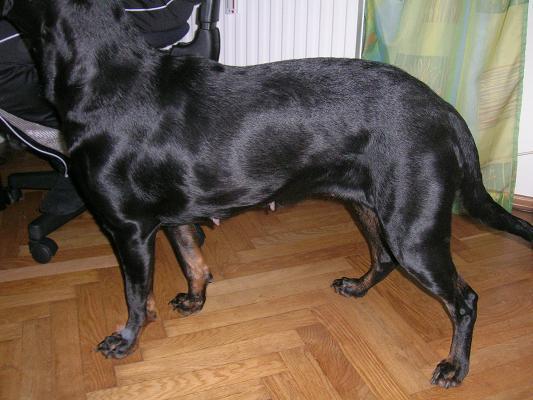 b5csyss99i8au6bir.jpg