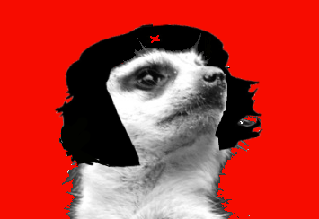 International Erdmännchen Liberation Front