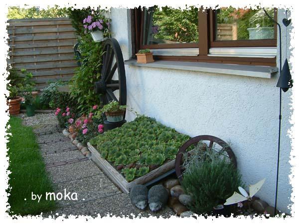 Gestaltung einer Terrasse - Mein schöner Garten Forum