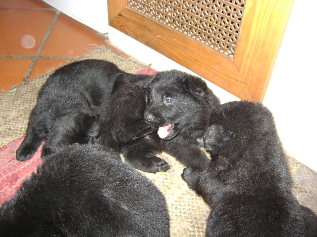 b62qdslrs2kmo8hlw.jpg