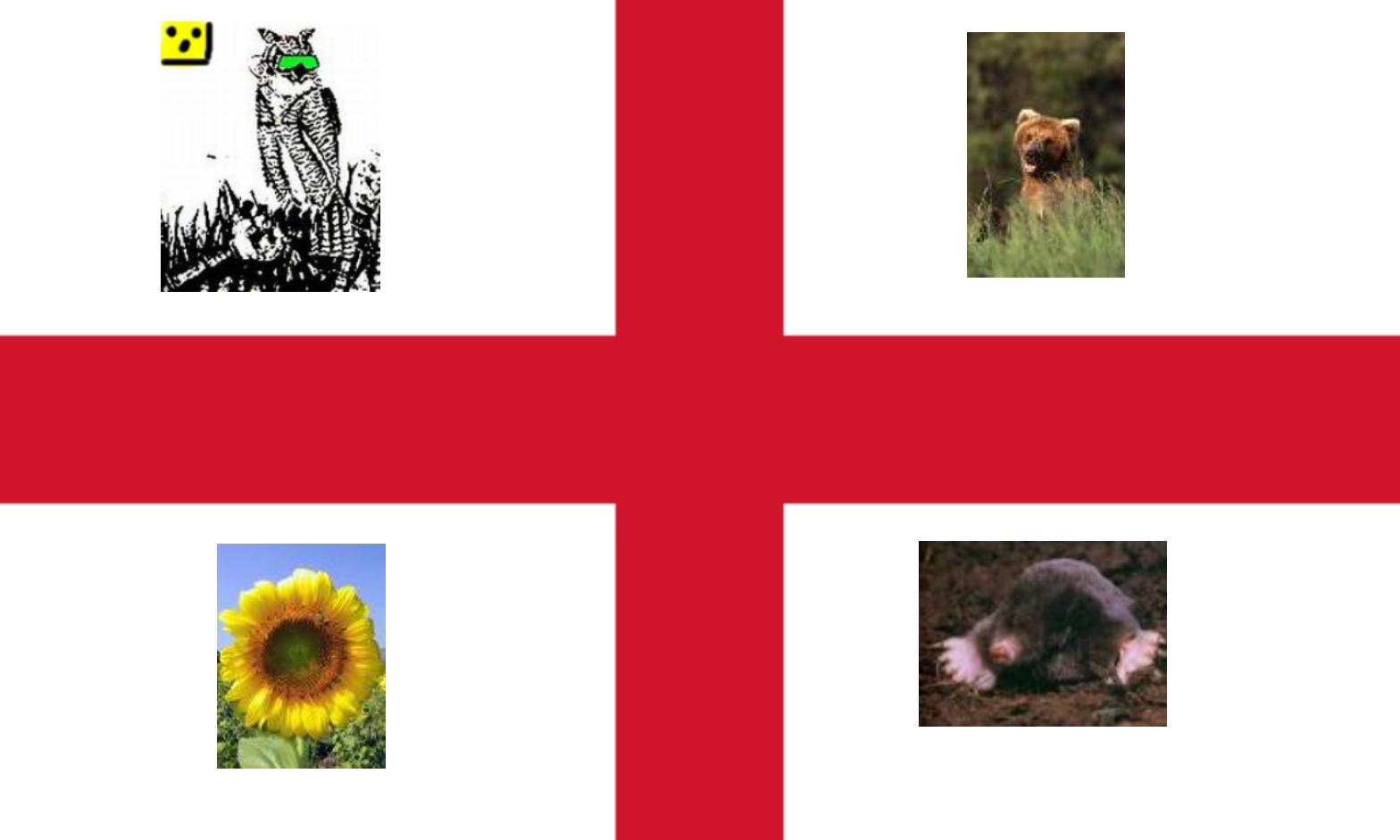 UserImage