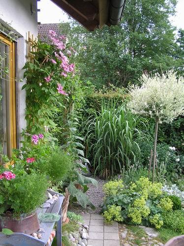 Reihenhausgarten braucht Verschönerung Mein schöner Garten Forum