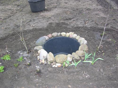 Miniteich im Mörtelkübel Seite 5 Garten Gartenforum.de