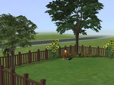 b7nvts08130peot1s.jpg