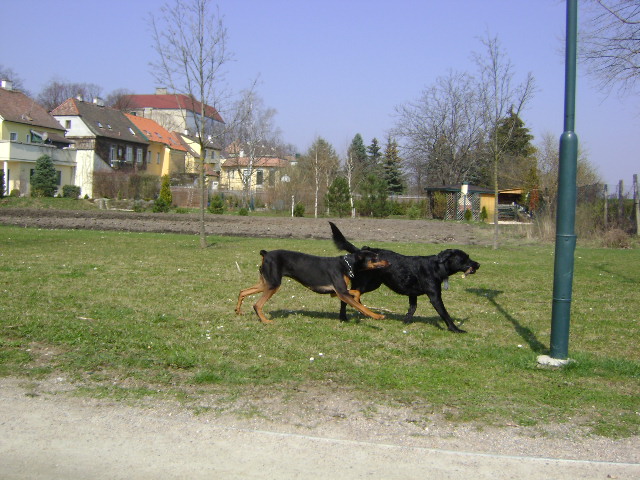 b7stup02lin1nc6cm.jpg