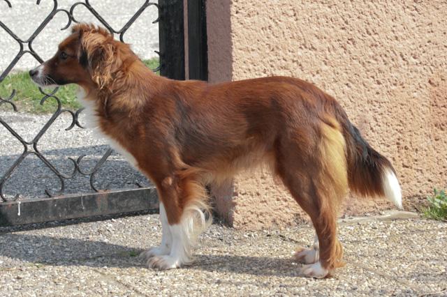 b7ukbhf88j4sqnhdy.jpg