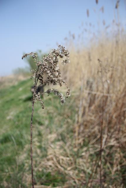 b801y4qt18rzyykjl.jpg