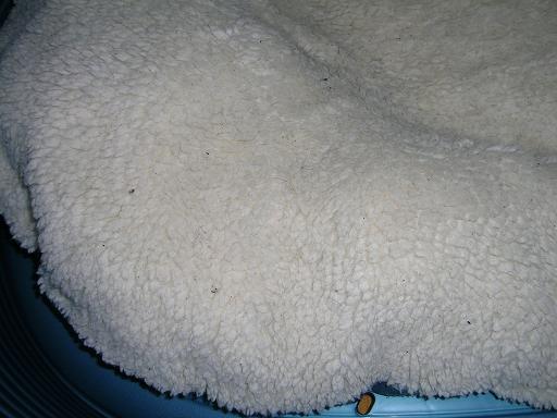 b87030f7kkv7s76u0.jpg