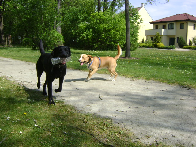 b8hv88xzk8469sbi6.jpg