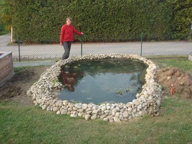 Ufergestaltung für den Gartenteich Mein schöner Garten Forum